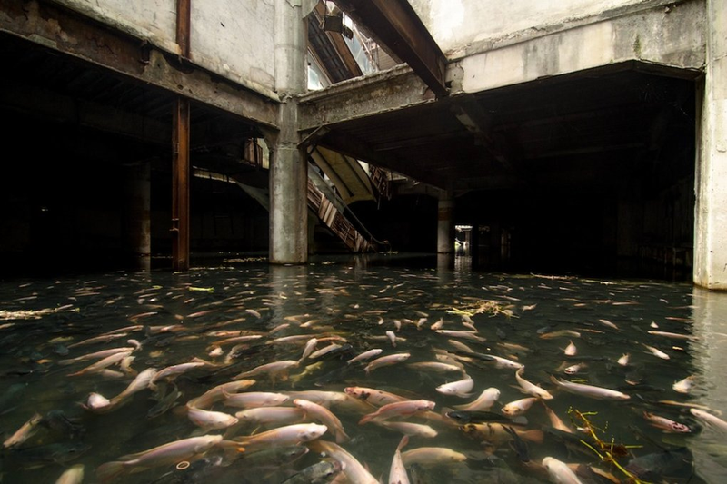Illustration for article titled These Abandoned Malls Would Be Awesome Post-Apocalyptic Film Locations